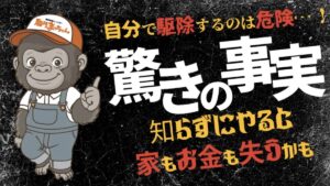 岐阜　害獣駆除　YouTube