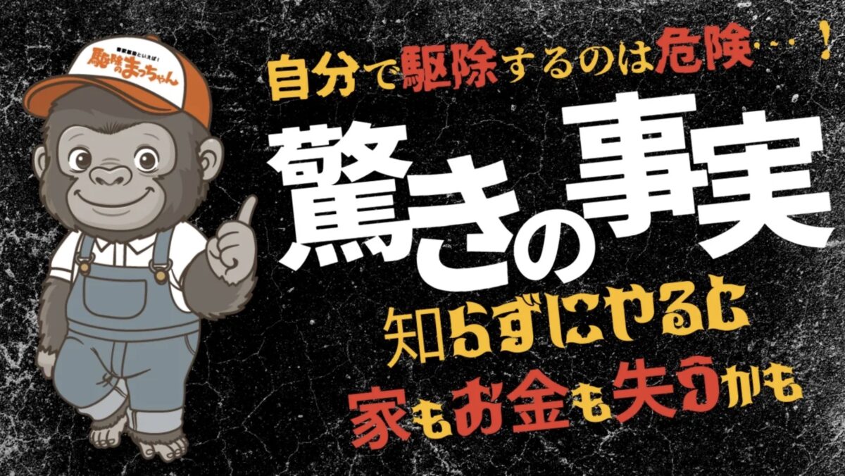 岐阜 害獣駆除 YouTube
