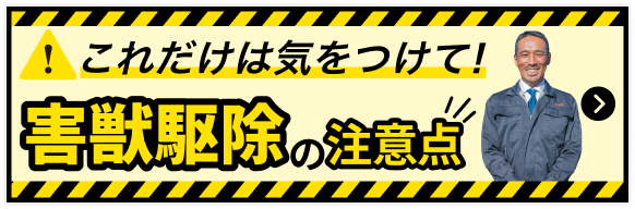 これだけは気を付けて!害獣駆除の注意点はこちら。