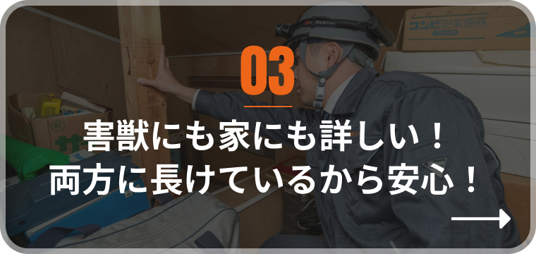 害獣にも家にも詳しい!
両方に長けているから安心!