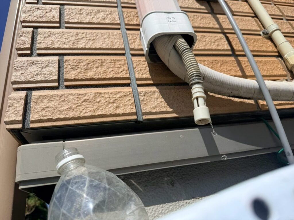 愛知県名古屋市ネズミ被害