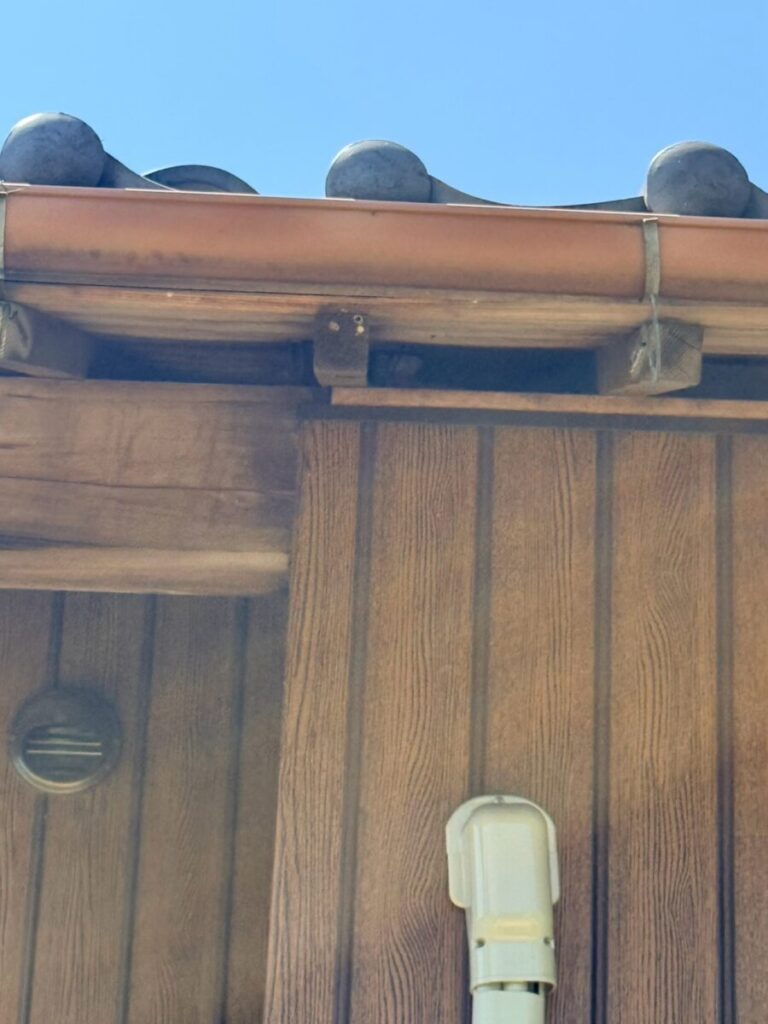 愛知県名古屋市アライグマ被害 侵入口