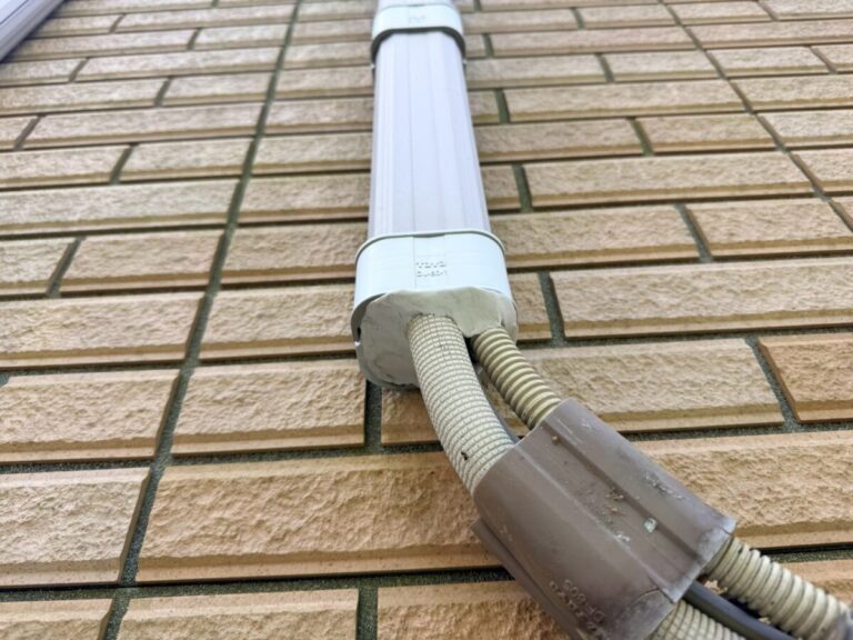 愛知県名古屋市ネズミ被害