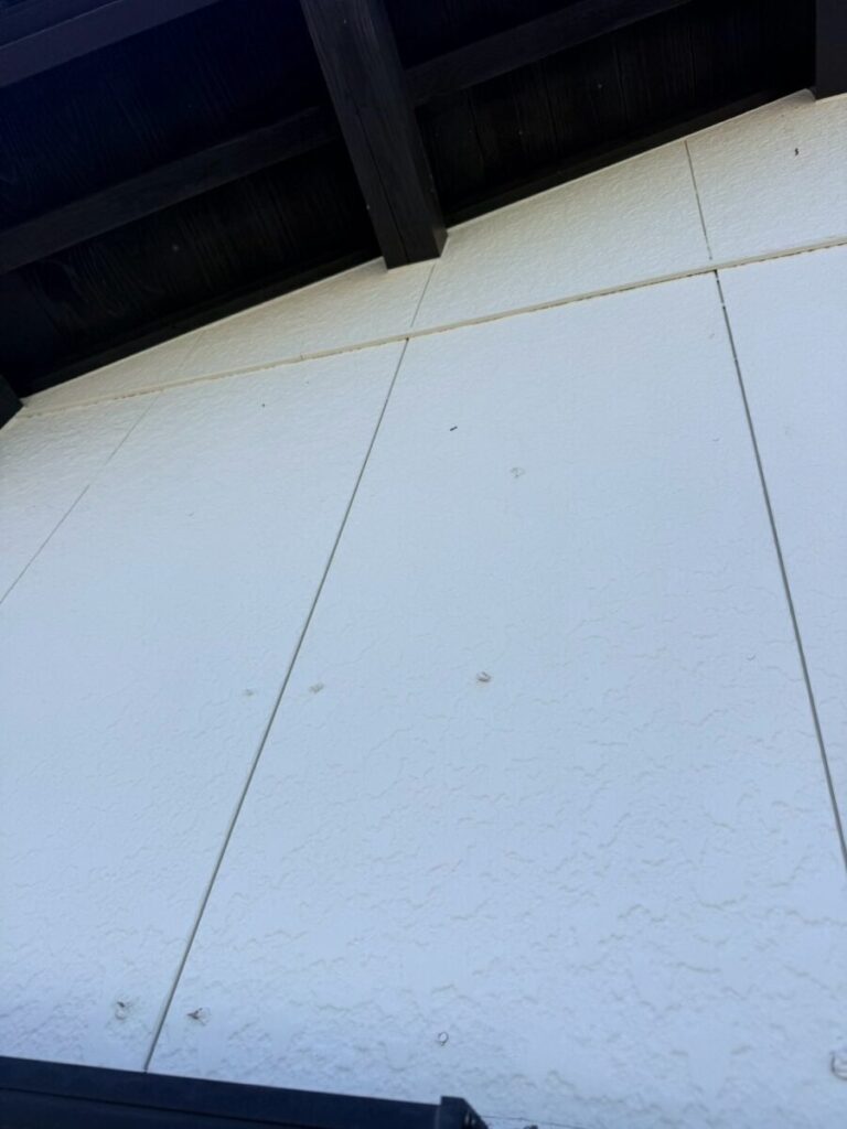 愛知県名古屋市コウモリ被害