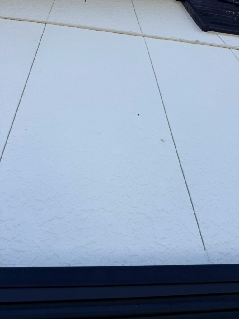 愛知県名古屋市コウモリ被害
