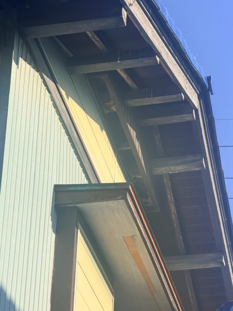 愛知県名古屋市ネズミ被害