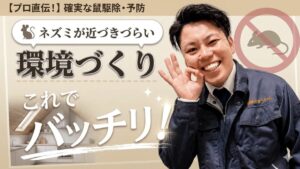 ネズミ YouTube動画