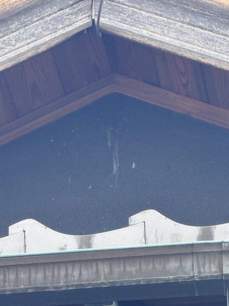 愛知県名古屋市コウモリ被害 外壁部分