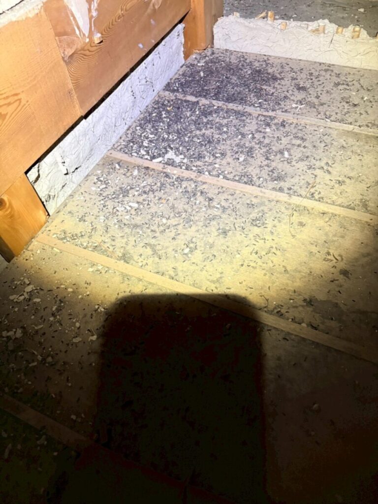 愛知県名古屋市コウモリ被害 糞被害