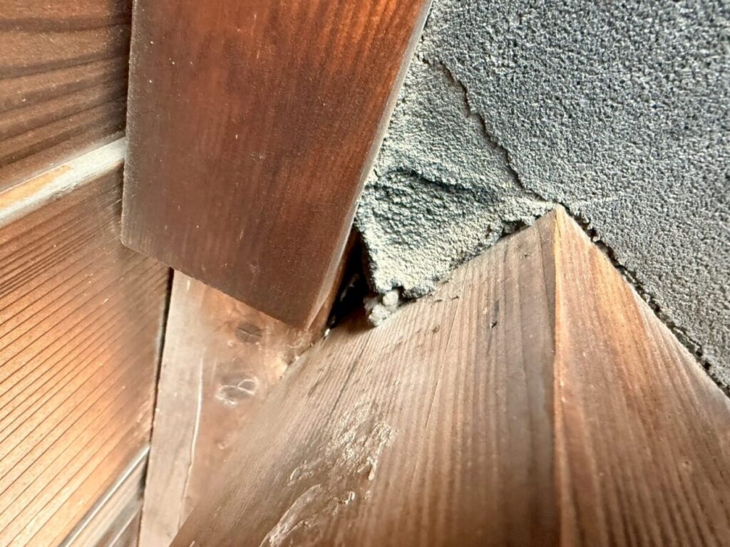 愛知県名古屋市コウモリ被害