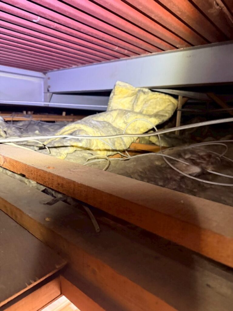 愛知県名古屋市ハクビシン被害 断熱材