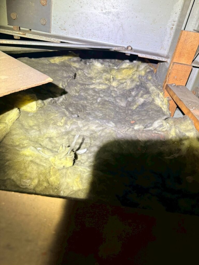 愛知県名古屋市ハクビシン被害 断熱材被害
