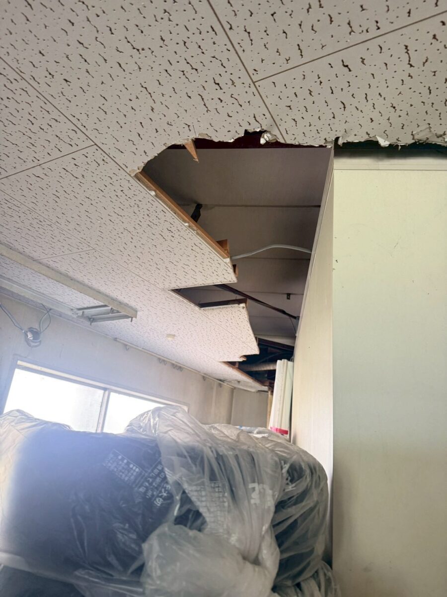 愛知県名古屋市ネズミ被害