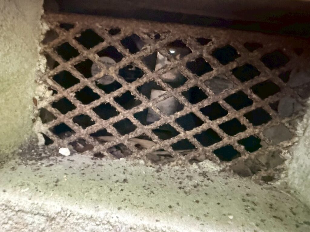 愛知県名古屋市イタチ駆除