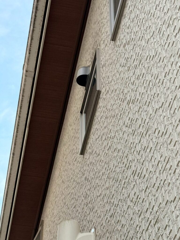 愛知県名古屋市コウモリ被害