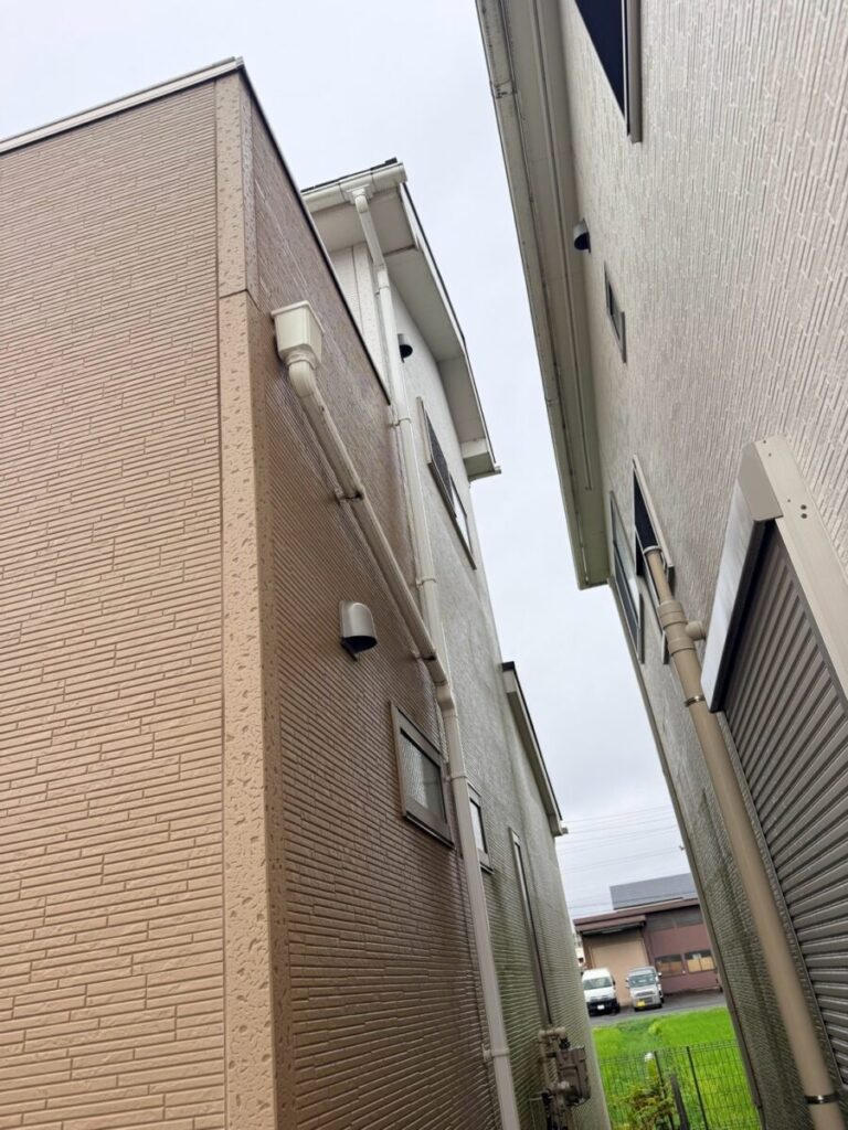 愛知県名古屋市コウモリ駆除