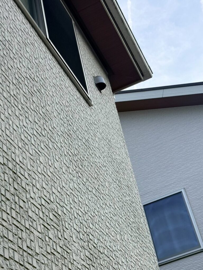 愛知県名古屋市コウモリ被害