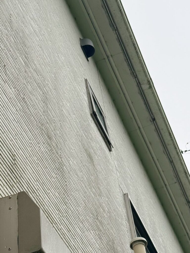 愛知県名古屋市コウモリ駆除