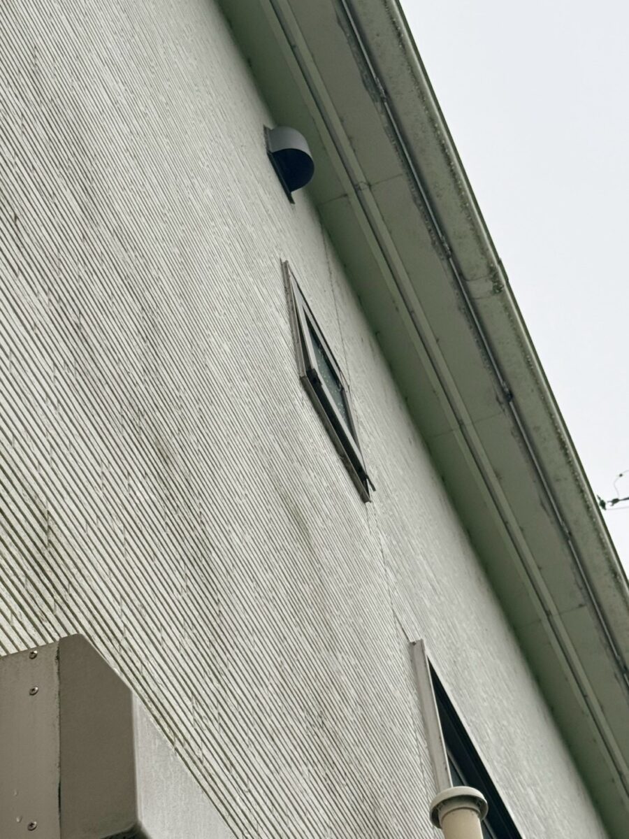 愛知県名古屋市コウモリ駆除