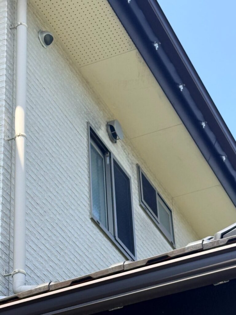 愛知県名古屋市緑区コウモリ被害