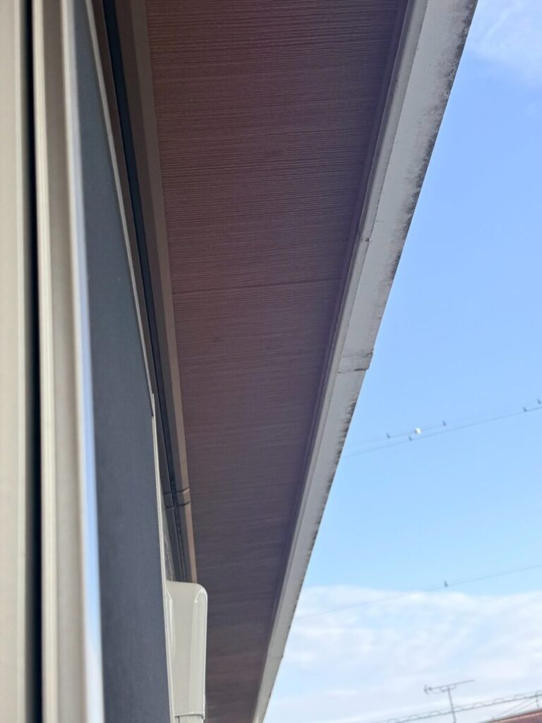 愛知県名古屋市コウモリ被害