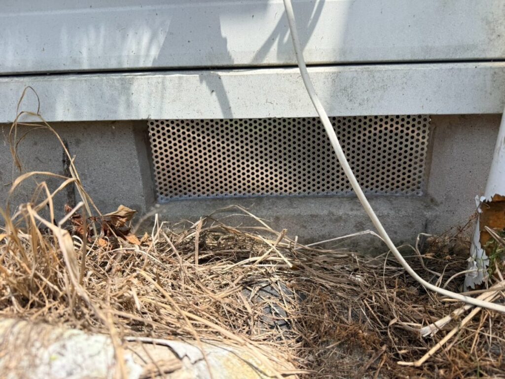 施工後：愛知県名古屋市北区イタチ駆除