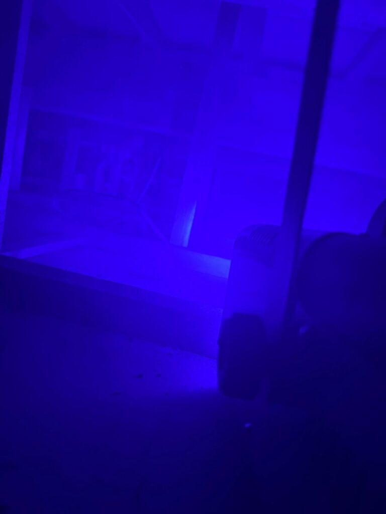 愛知県名古屋市北区イタチ駆除