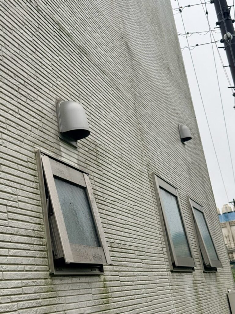 愛知県名古屋市コウモリ駆除