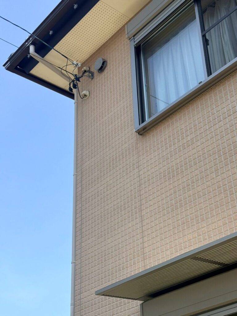 愛知県名古屋市緑区コウモリ被害