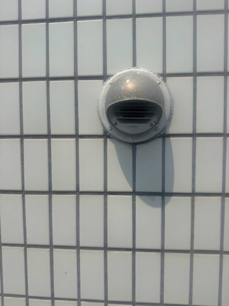 愛知県名古屋市コウモリ駆除