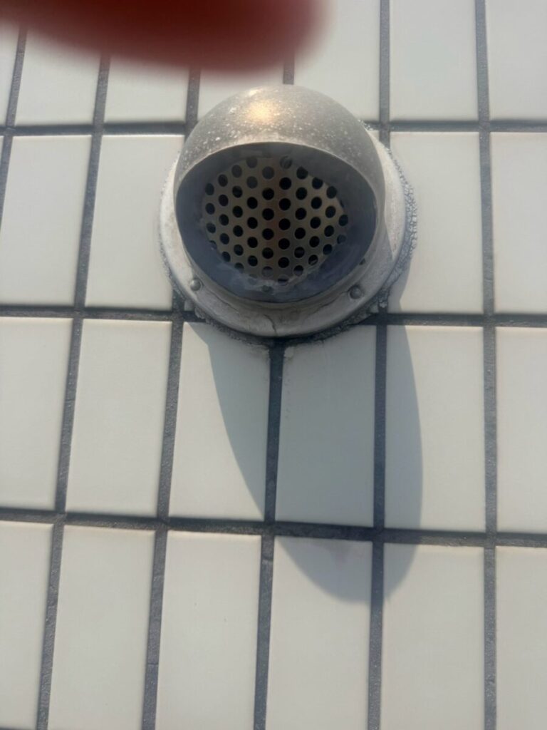 愛知県名古屋市コウモリ駆除