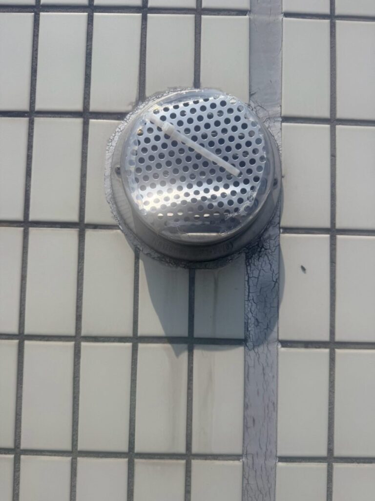 愛知県名古屋市コウモリ駆除