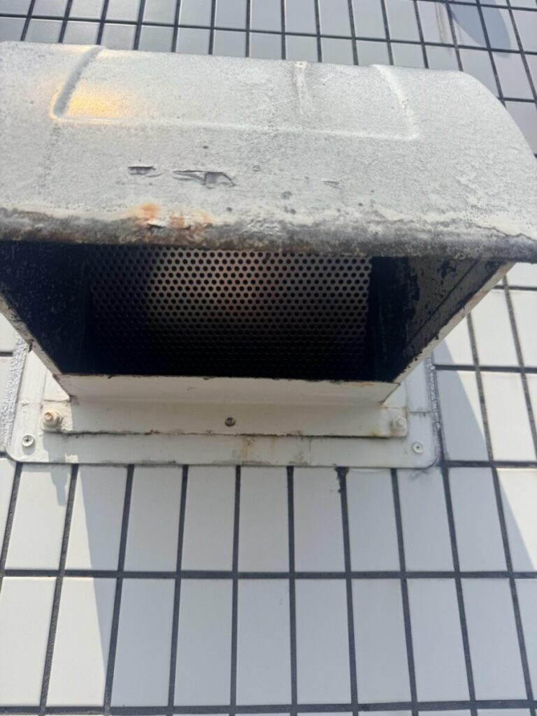 愛知県名古屋市コウモリ駆除