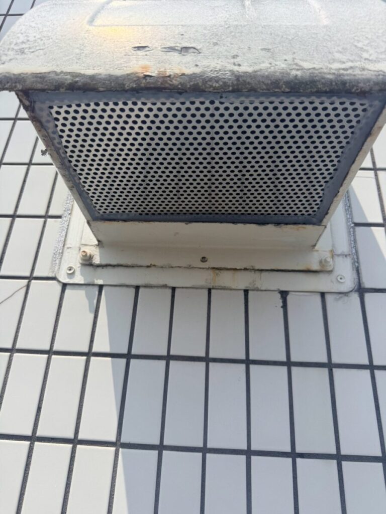 愛知県名古屋市コウモリ駆除