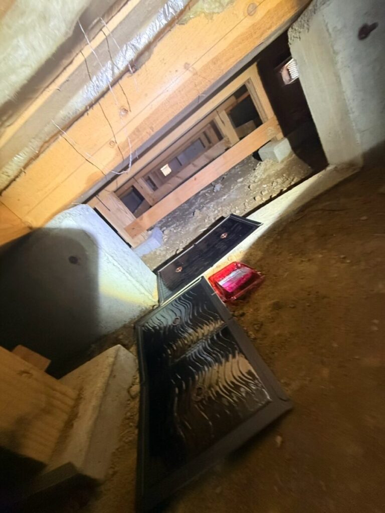 愛知県名古屋市ネズミ駆除