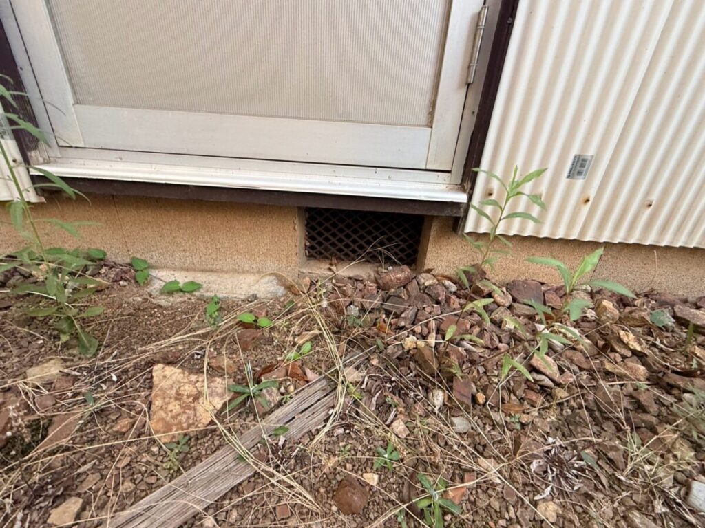 愛知県名古屋市千種区　ネズミ被害