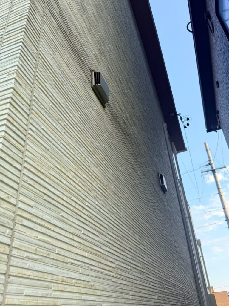 愛知県名古屋市千種区コウモリ被害