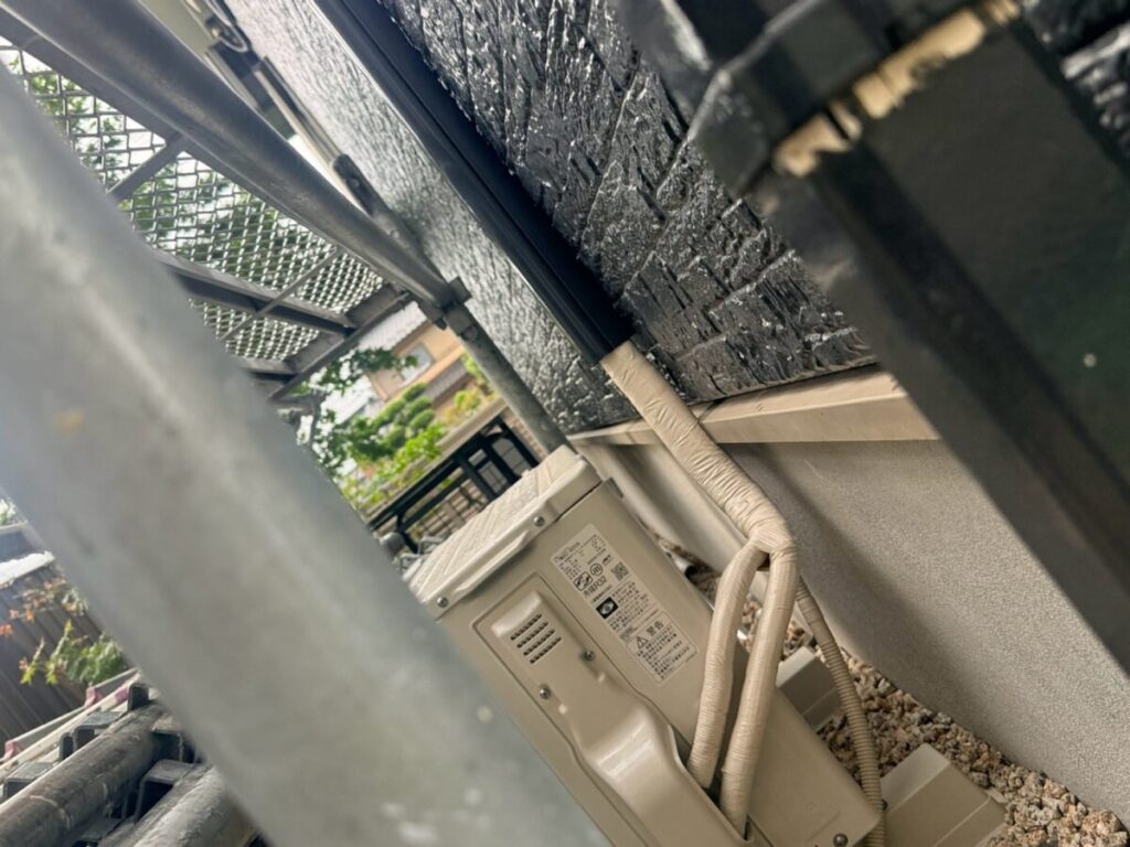 名古屋市西区コウモリ被害