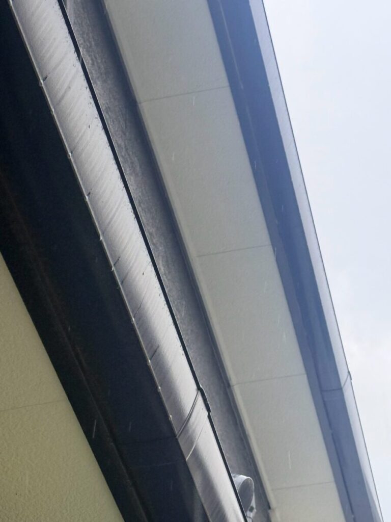 名古屋市西区コウモリ被害
