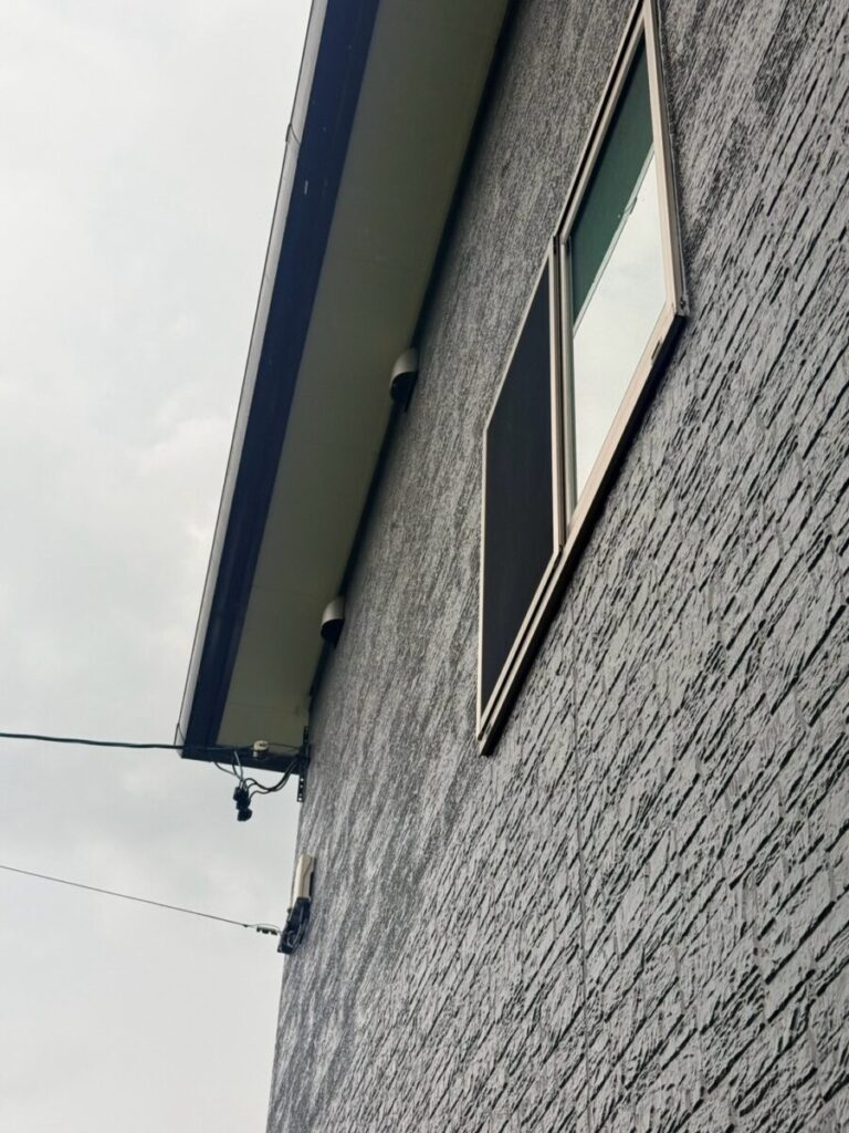 名古屋市西区コウモリ被害