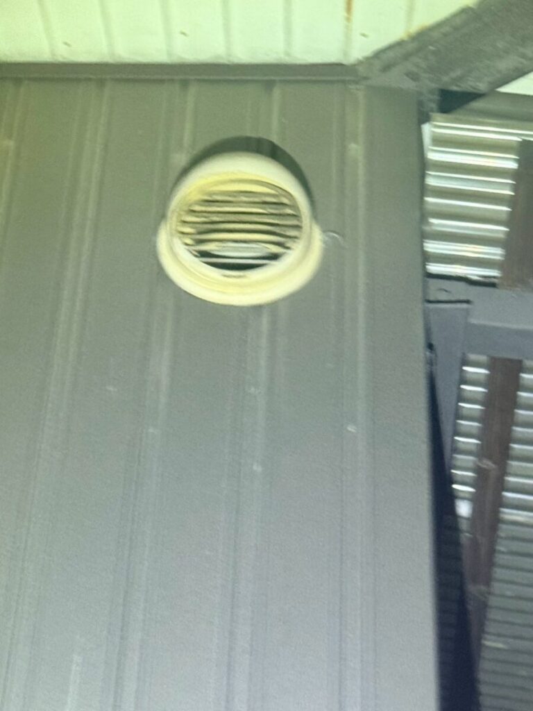 愛知県名古屋市北区コウモリ被害