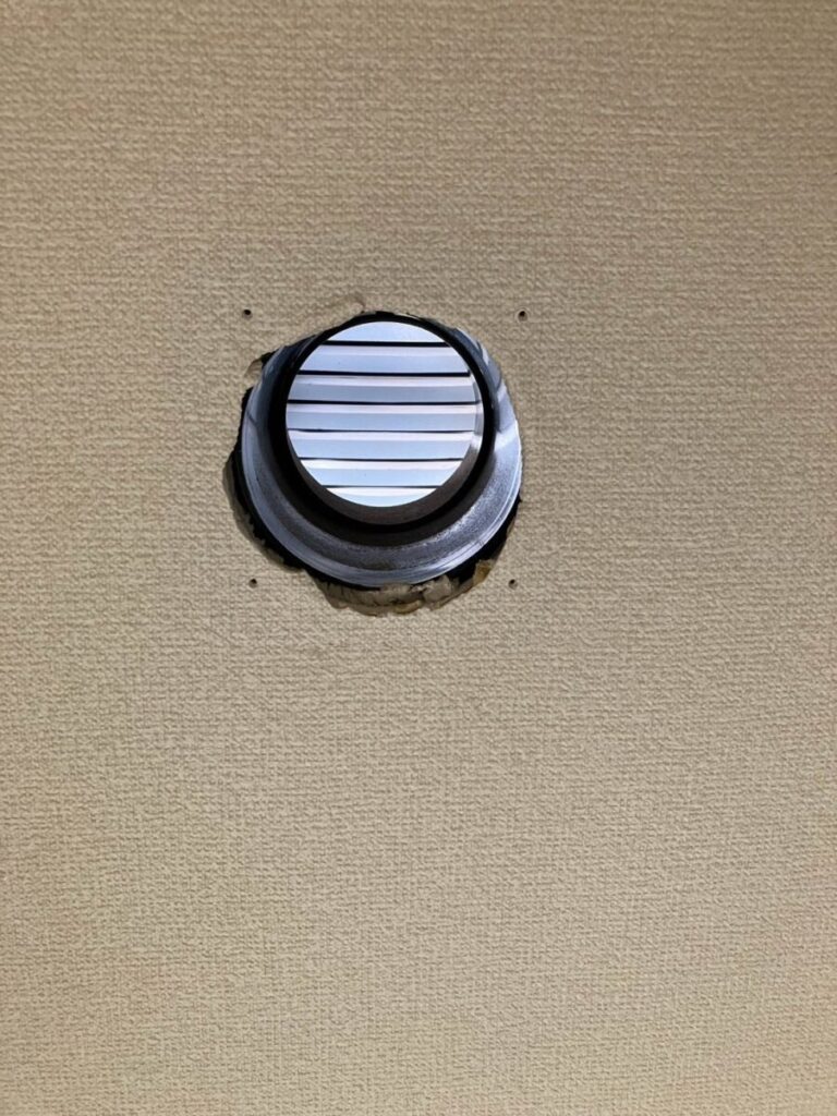 愛知県名古屋市コウモリ被害