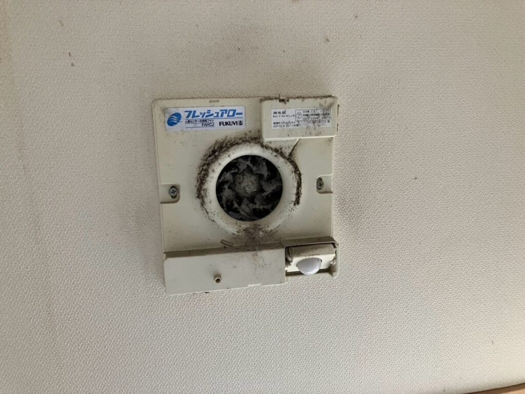 愛知県名古屋市コウモリ被害
