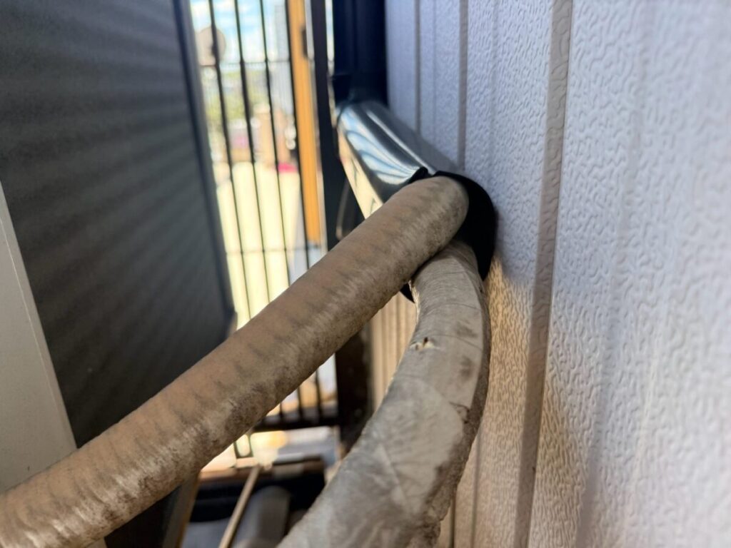 愛知県名古屋市守山区コウモリ被害