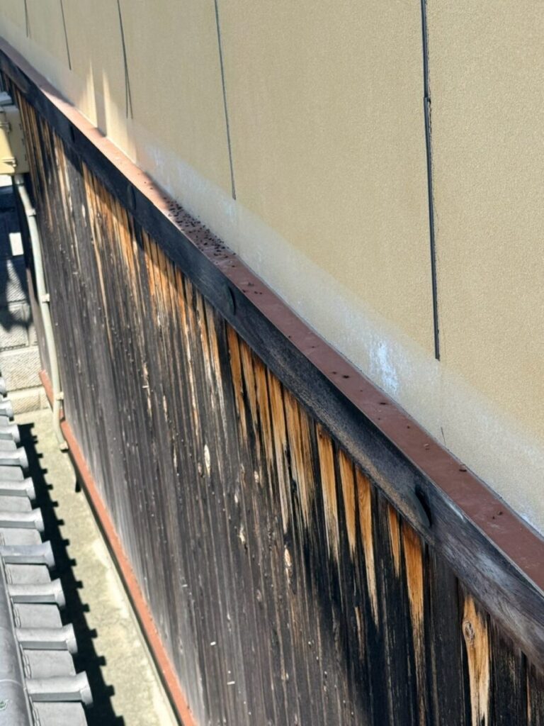 愛知県名古屋市守山区コウモリ被害