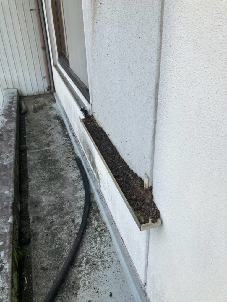 愛知県北名古屋市ネズミ・コウモリ被害