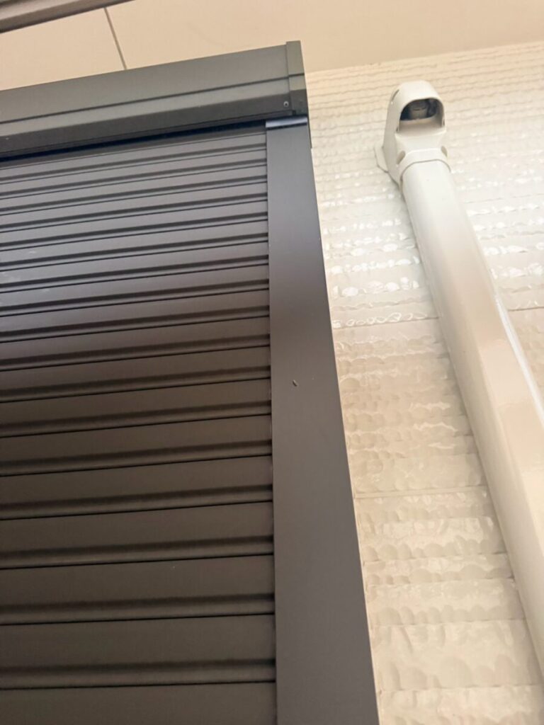 愛知県名古屋市北区コウモリ駆除