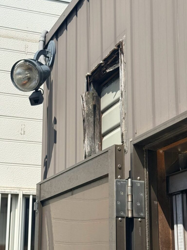 愛知県一宮市ネズミ駆除