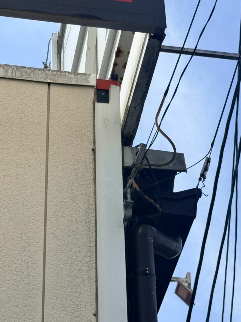 愛知県一宮市ネズミ駆除