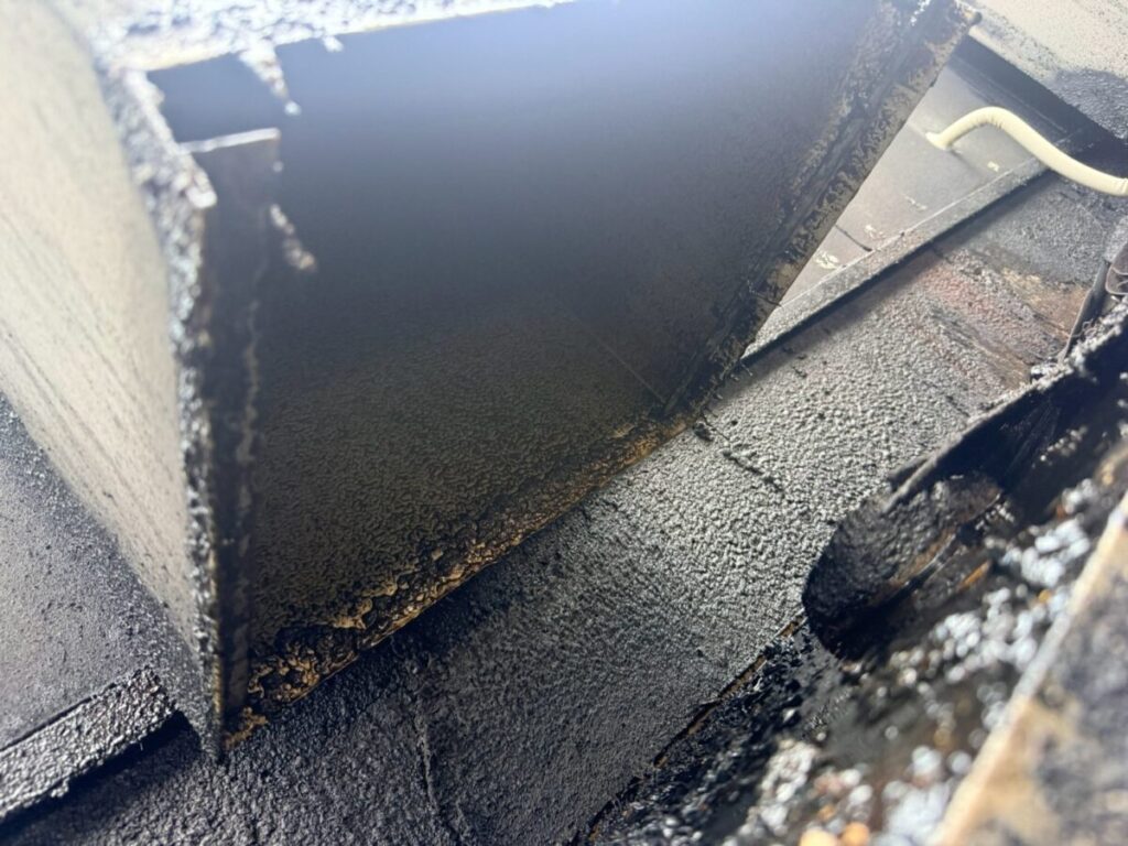 愛知県一宮市ネズミ駆除